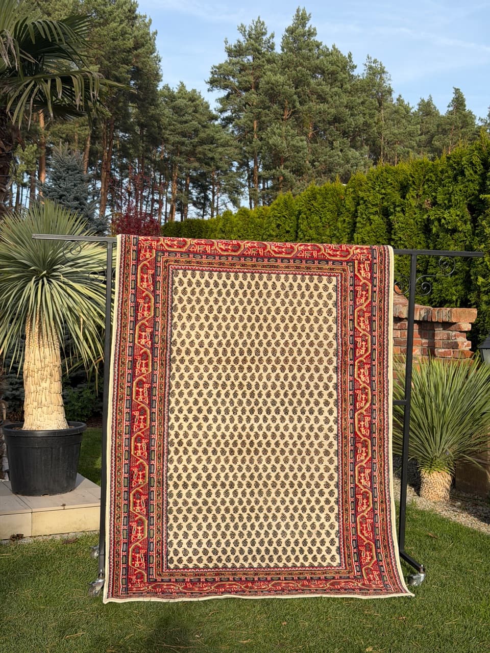 Rug Indo Mir, beige wool, India - 168322