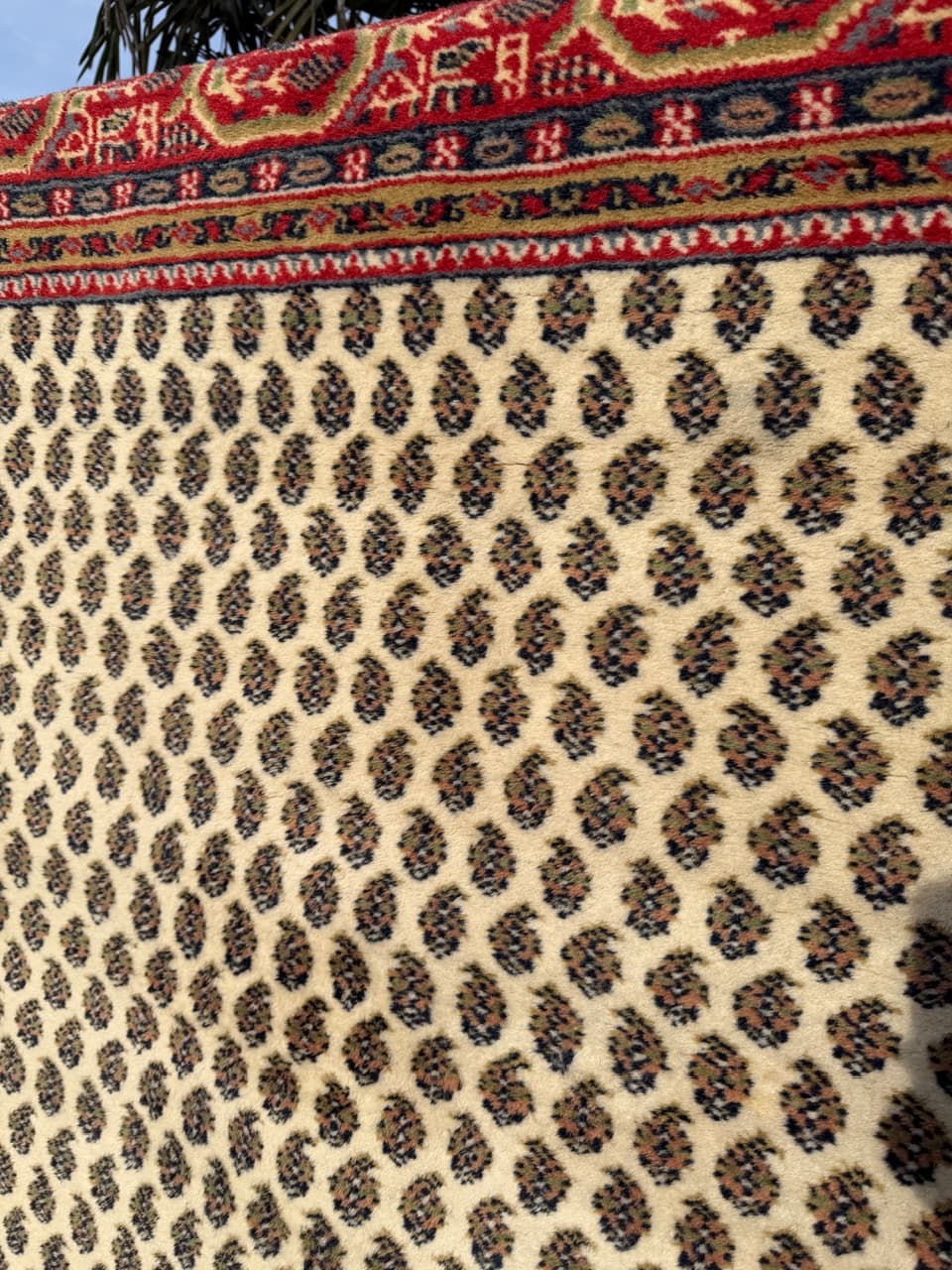 Rug Indo Mir, beige wool, India - 168326