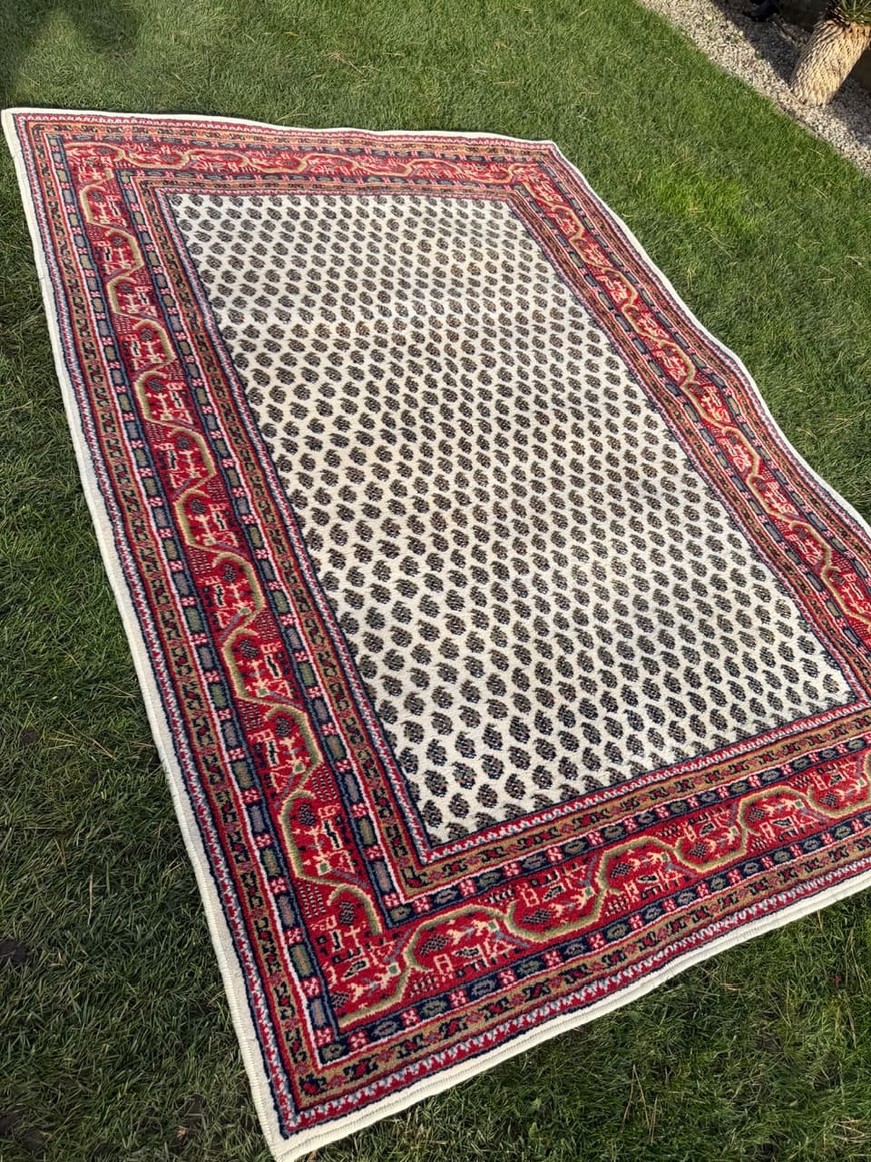 Rug Indo Mir, beige wool, India - 168332