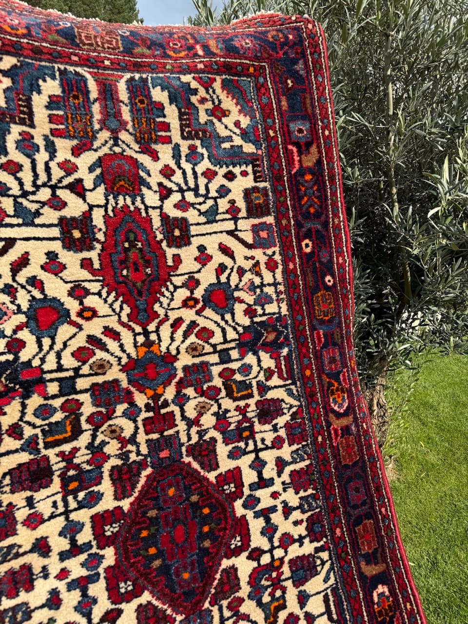 Runner Hamadan, multicolor wool, Iran - 169480