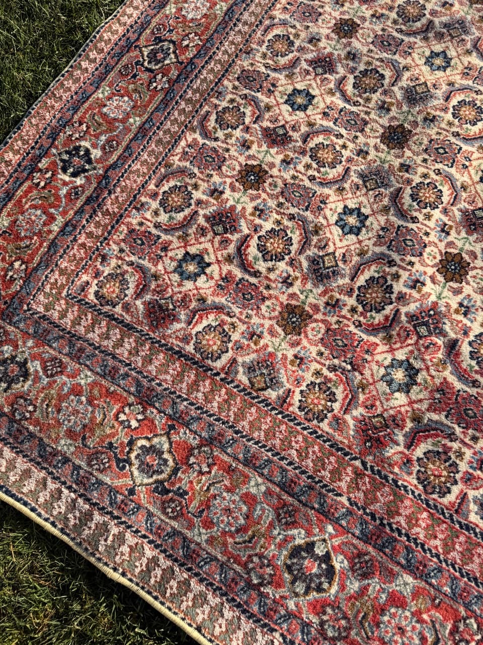 Rug Indo Mir Herati, beige wool, India - 170678