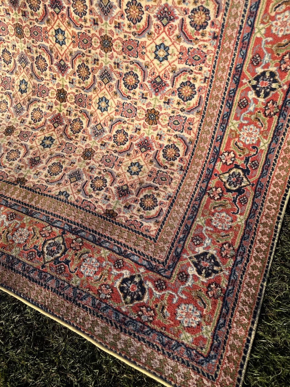 Rug Indo Mir Herati, beige wool, India - 170668