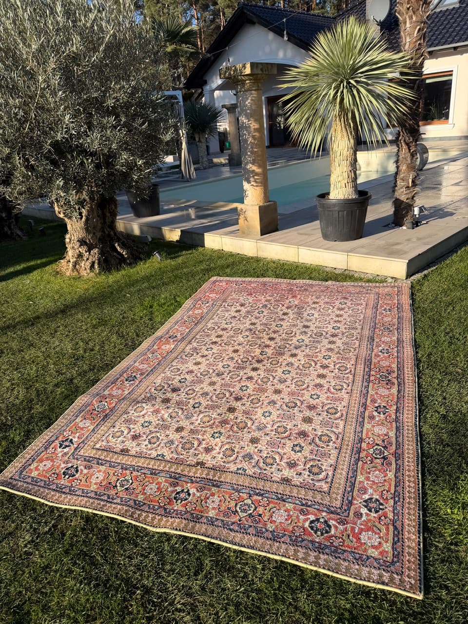 Rug Indo Mir Herati, beige wool, India - 170674