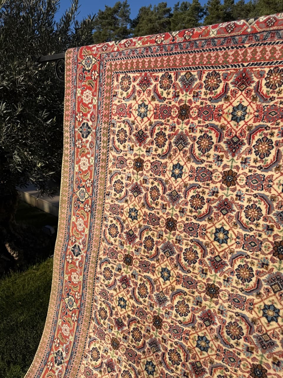 Rug Indo Mir Herati, beige wool, India - 170669