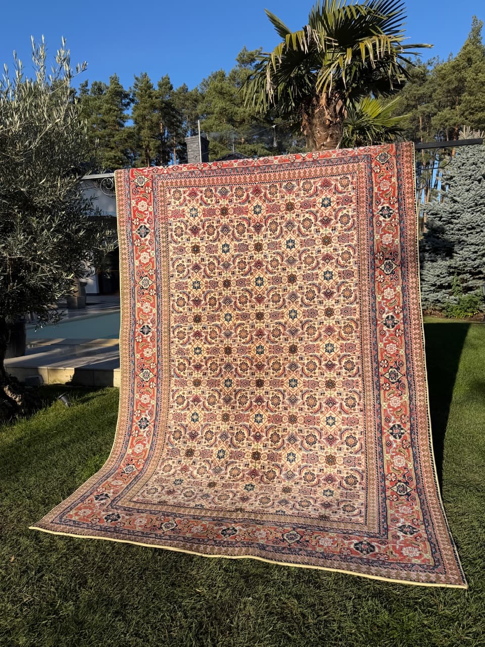 Rug Indo Mir Herati, beige wool, India - 170666