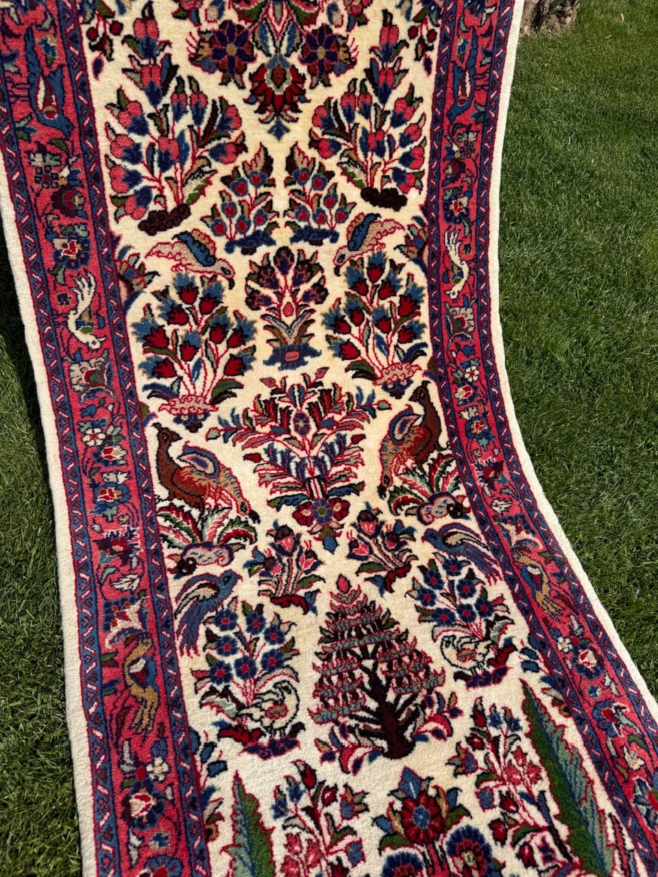 Chodnik Goum, kość słoniowa, wełna, Iran - 171398