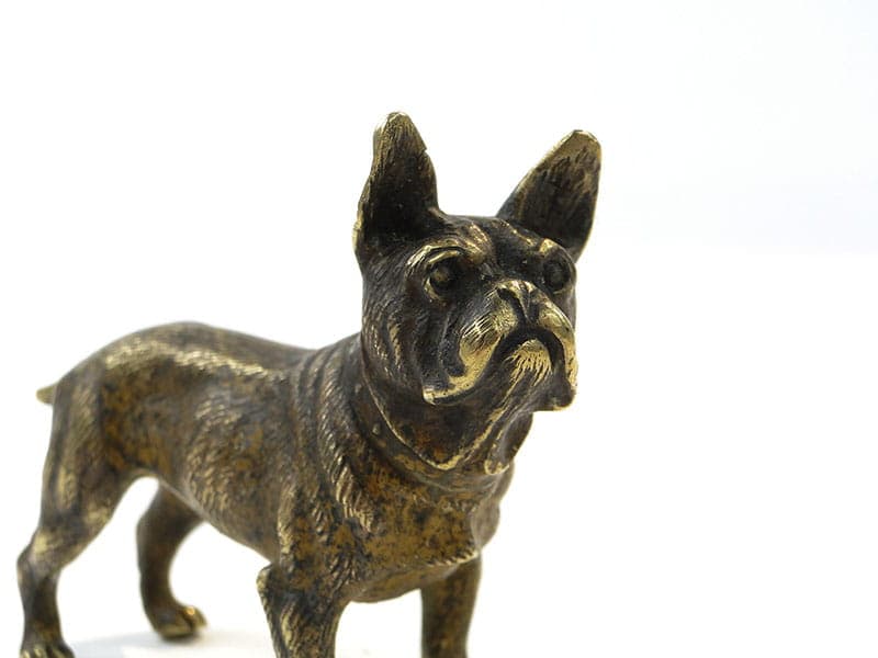 Figura buldoga, miniatura z brązu, Austria ok 1900. - 175587