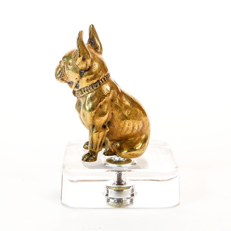 Figura buldoga, miniatura, brąz złocony, Austria 1880-1900 - 175592