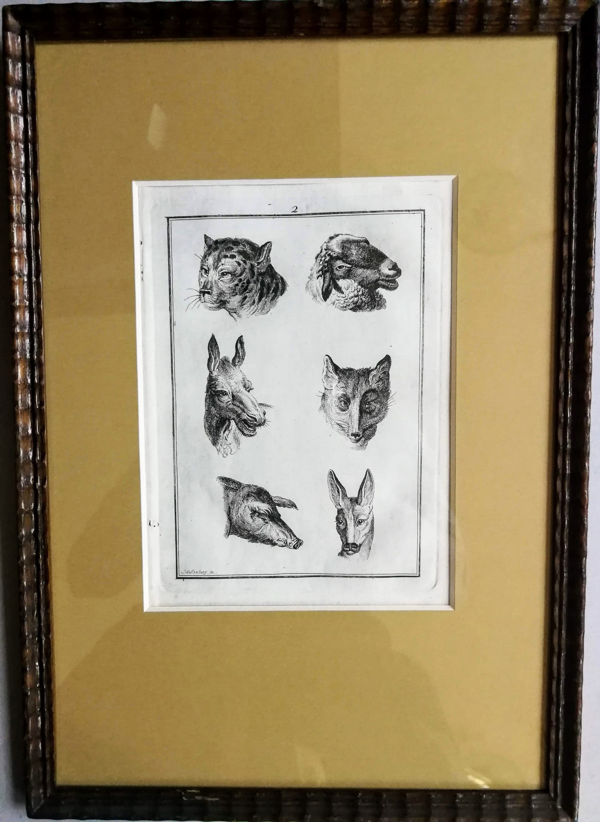 Grafika animalistyczna. Głowy zwierzęce. Sygn. Schellenberg fec. XIX wiek - 178523