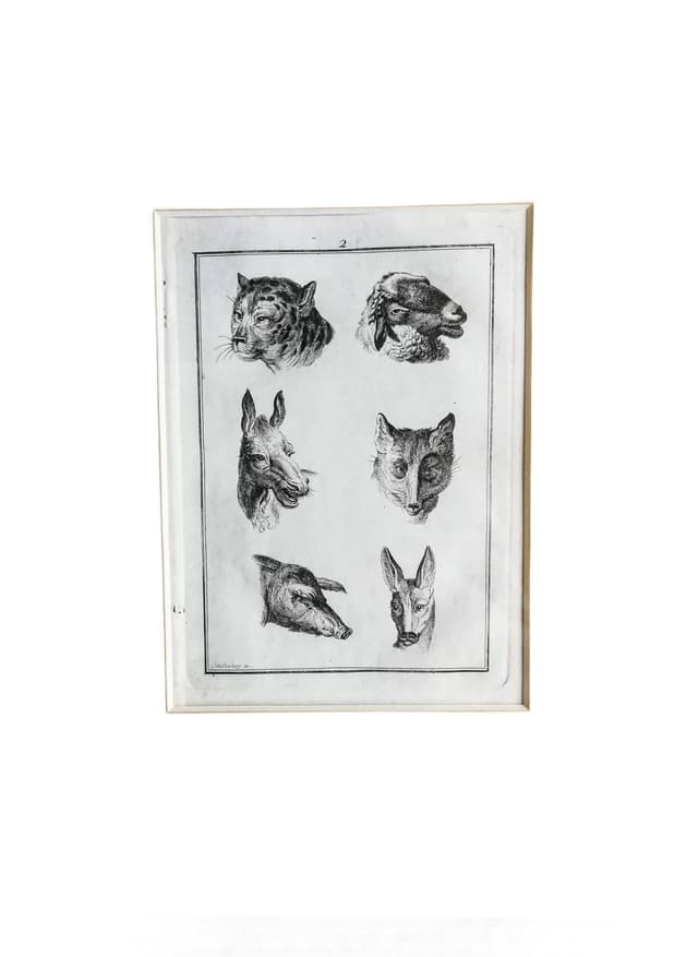 Grafika animalistyczna. Głowy zwierzęce. Sygn. Schellenberg fec. XIX wiek - WYMIARY