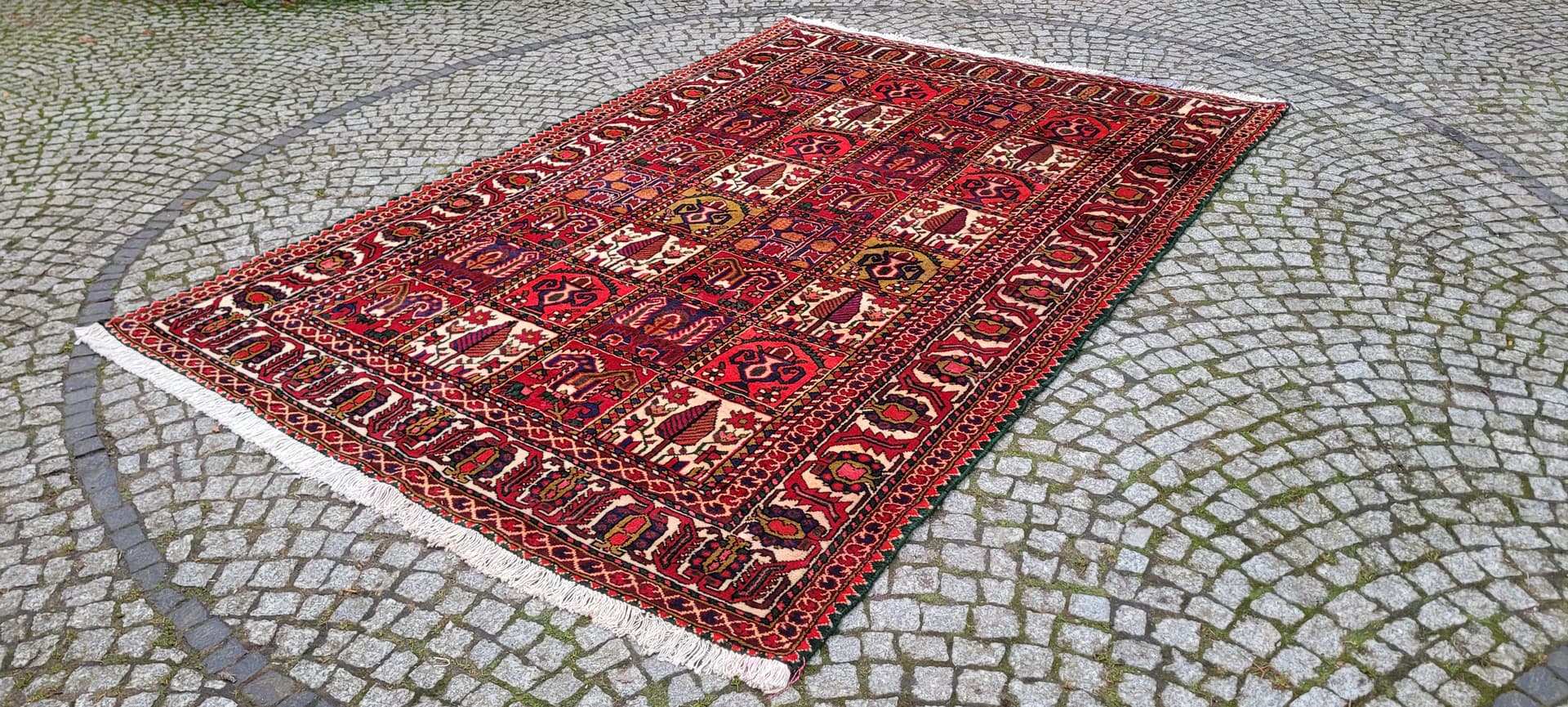 Persian Rug Bakhtiari 205x310 cm, red, wool, Iran - 179818