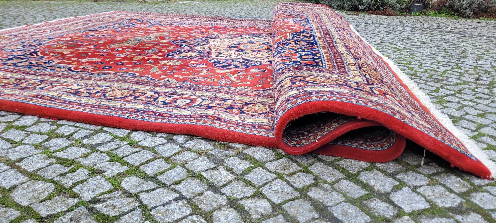 Rug Tebriz 250x360 cm, multicolor wool, India - 180446