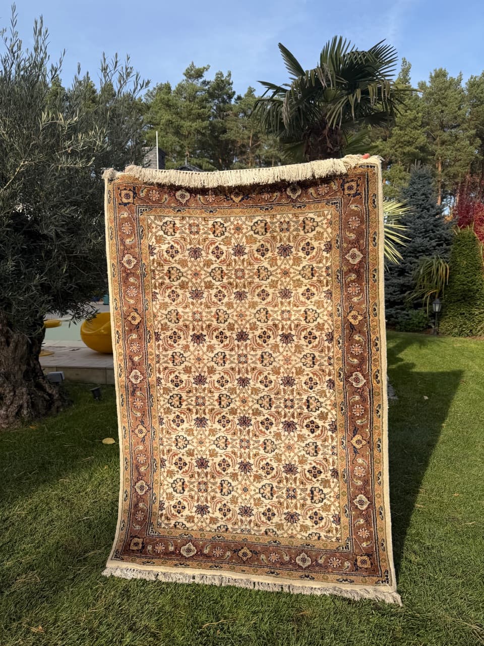 Rug Indo Herati, beige, wool, India - 181948