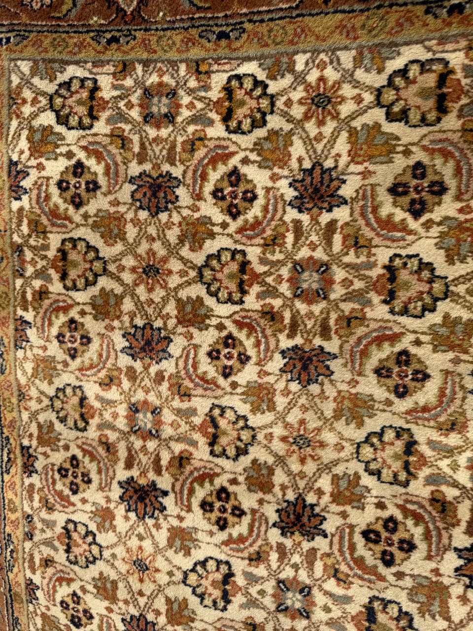 Rug Indo Herati, beige, wool, India - 181955