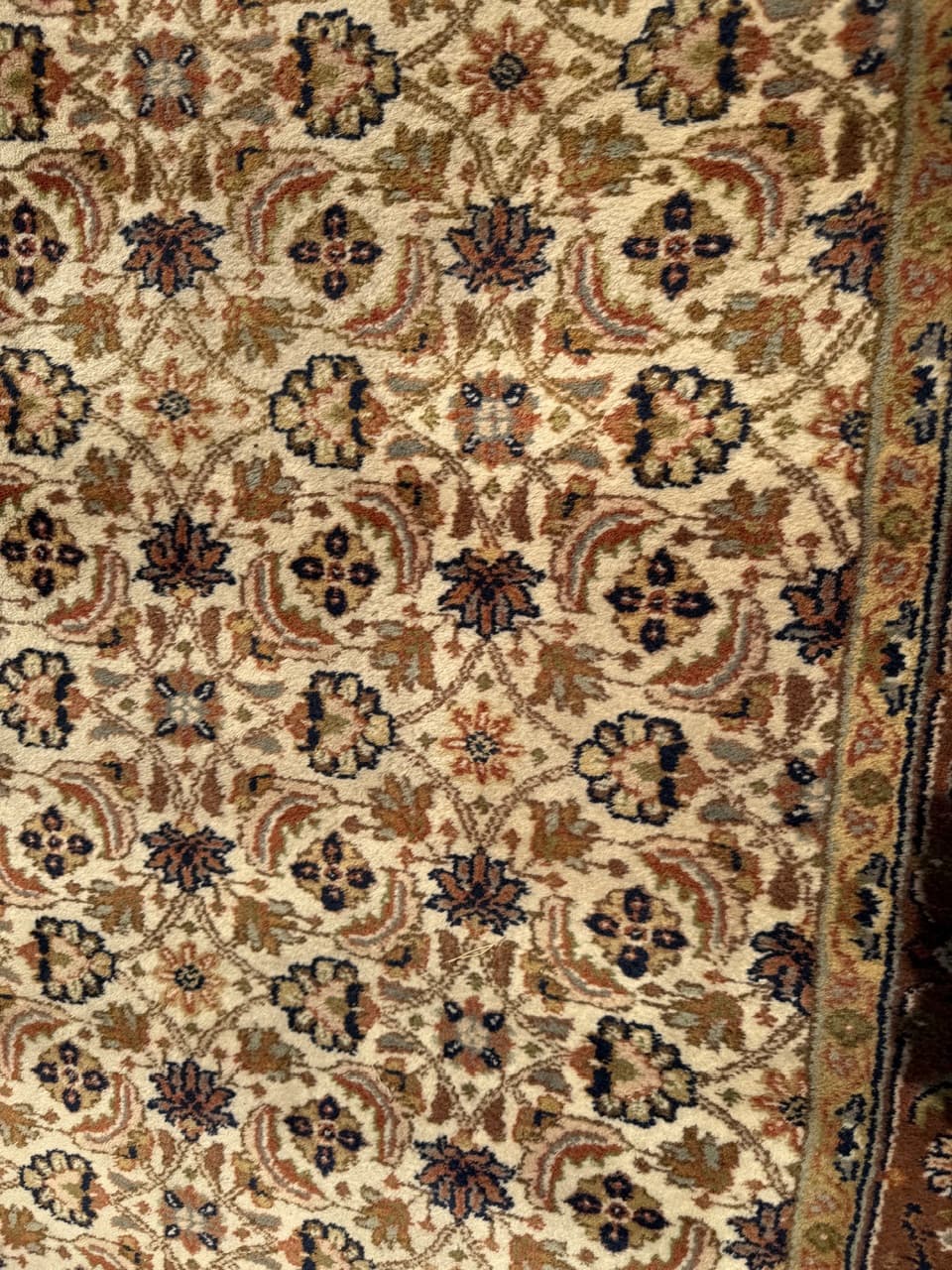 Rug Indo Herati, beige, wool, India - 181950