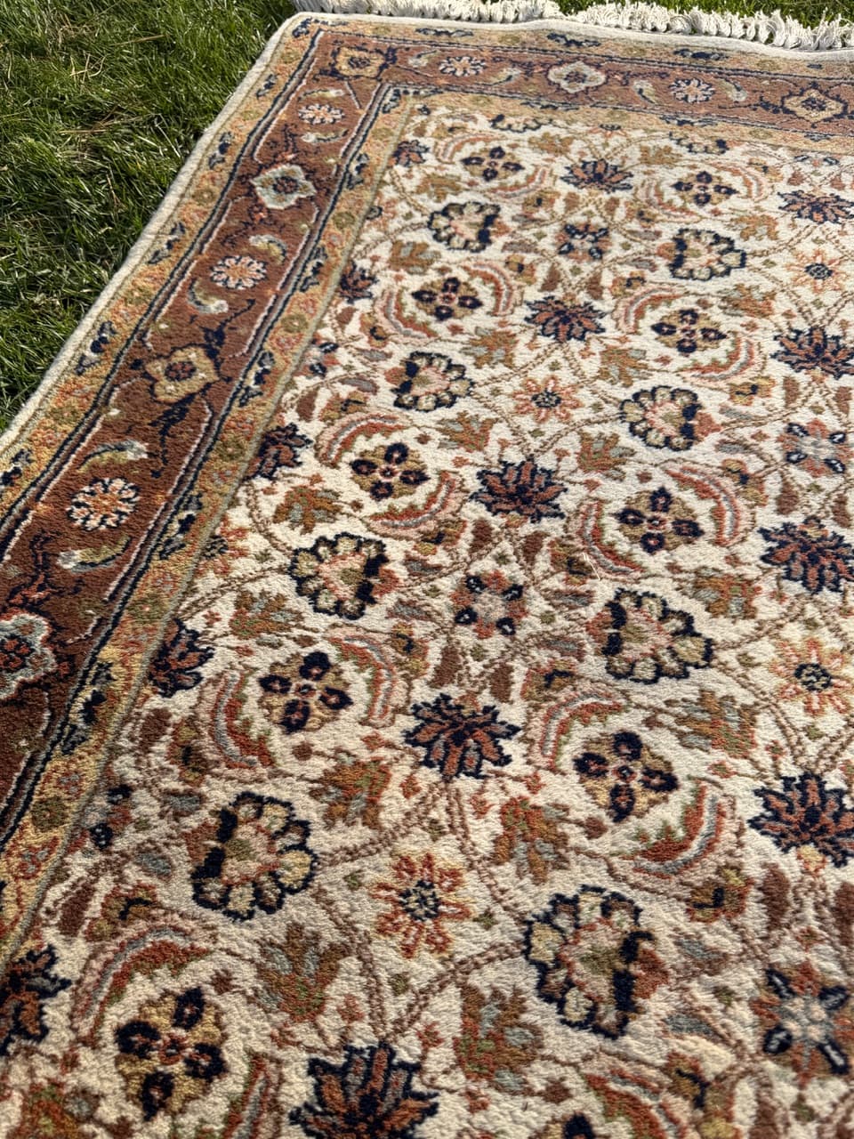 Rug Indo Herati, beige, wool, India - 181962