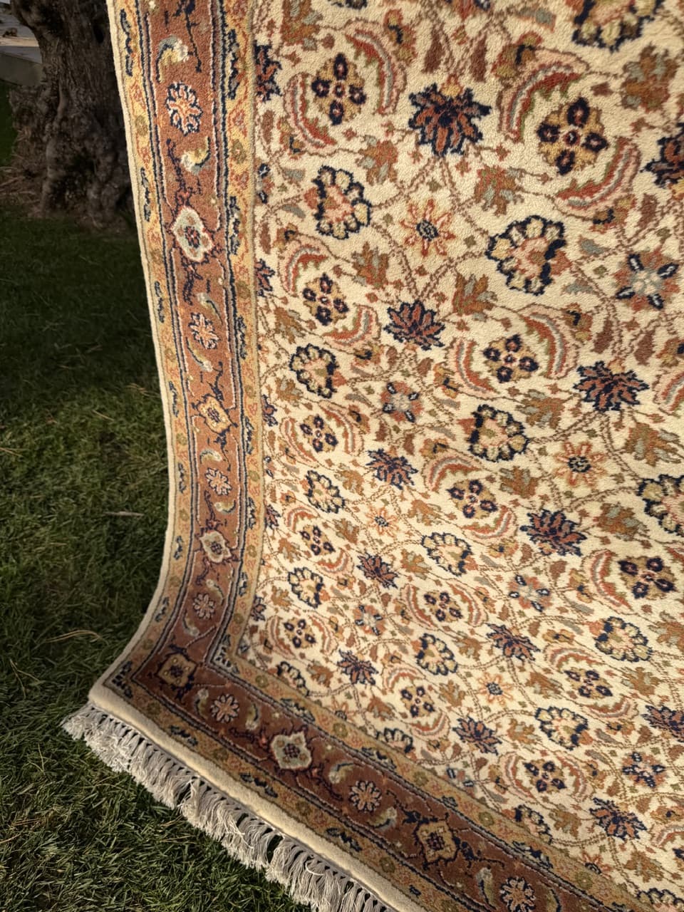 Rug Indo Herati, beige, wool, India - 181954