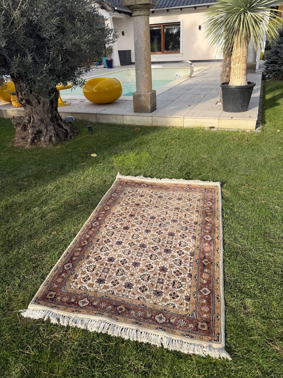 Rug Indo Herati, beige, wool, India - 181956