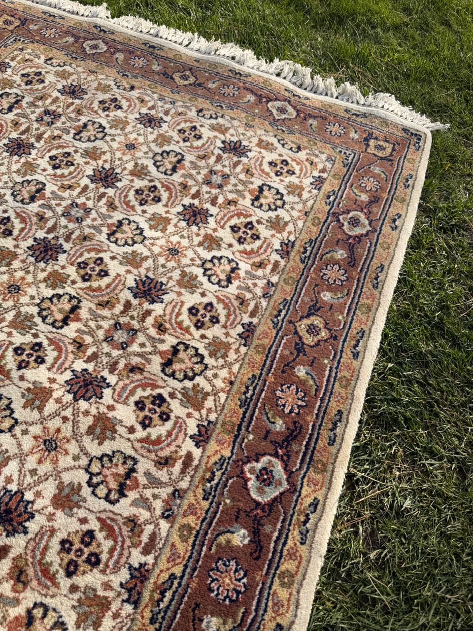 Rug Indo Herati, beige, wool, India - 181960