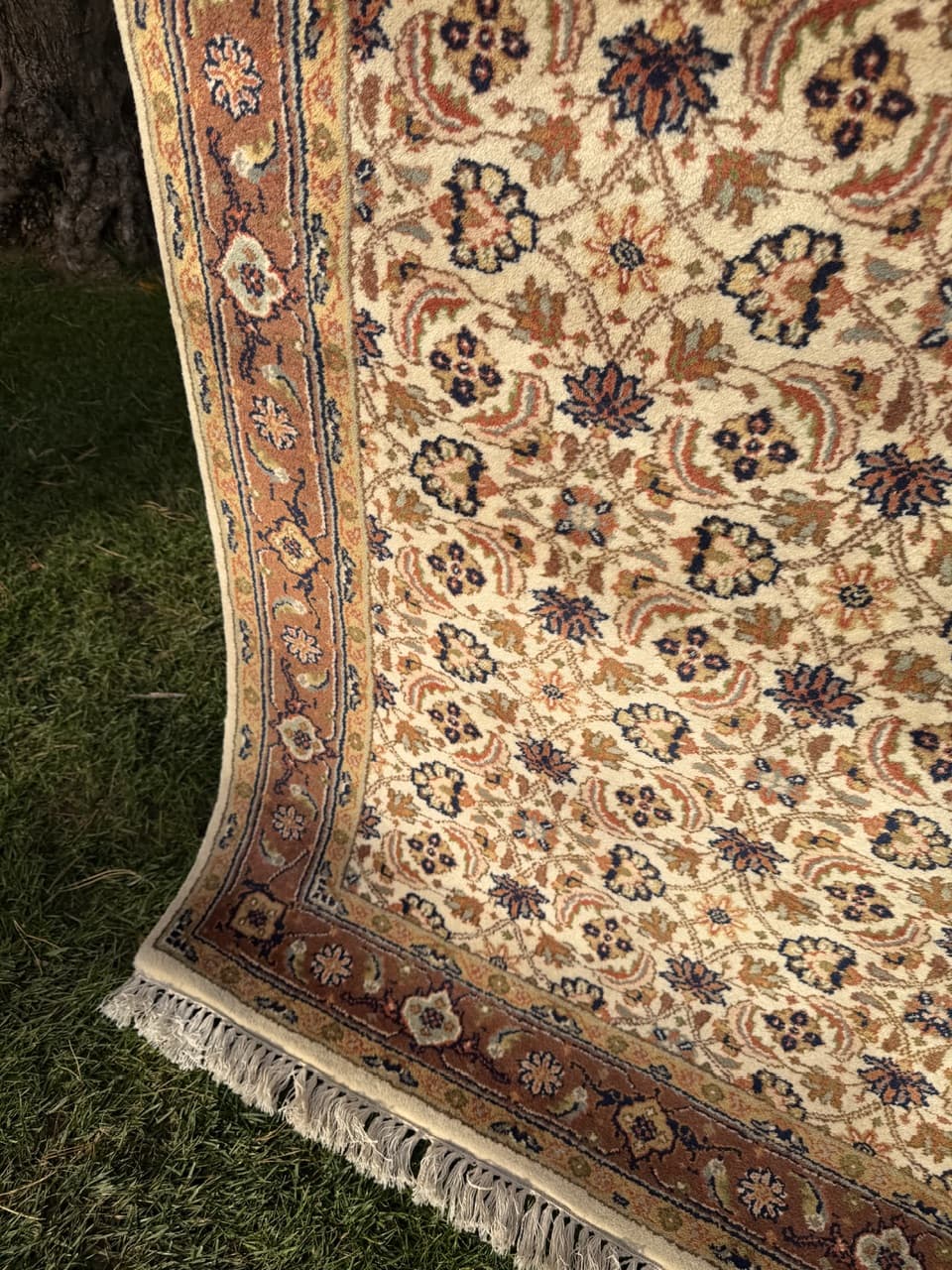 Rug Indo Herati, beige, wool, India - 181953