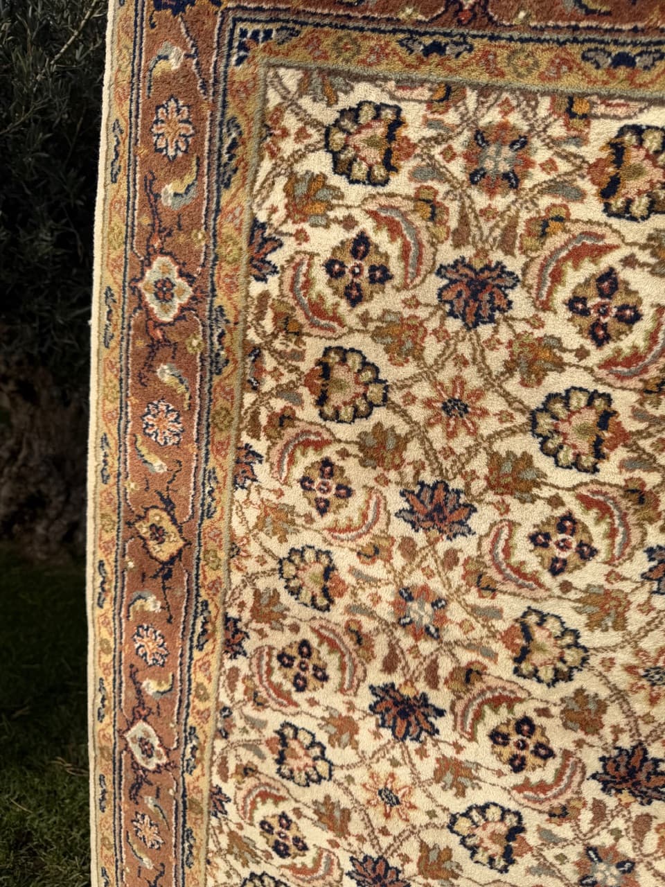 Rug Indo Herati, beige, wool, India - 181952