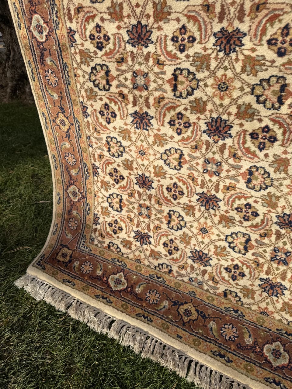 Rug Indo Herati, beige, wool, India - 181949