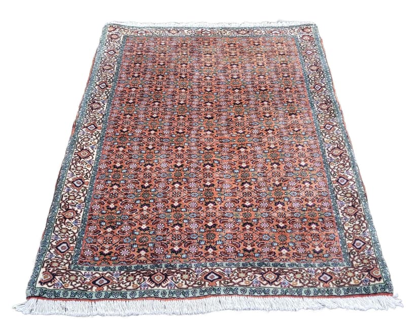 Rug Bidjar Takab 170x113 cm, multicolor wool, Iran, early 20th c.