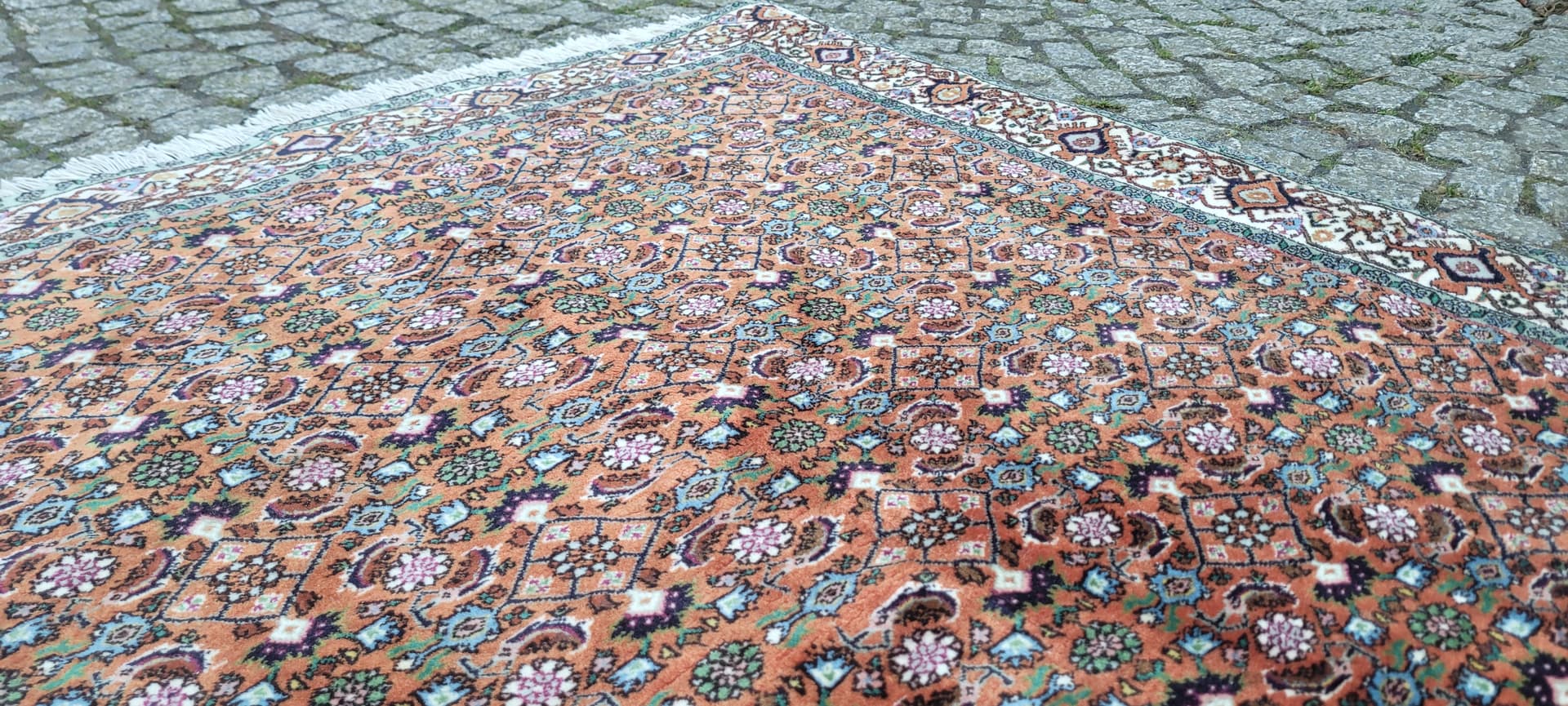 Rug Bidjar Takab 170x113 cm, multicolor wool, Iran, early 20th c. - 182401