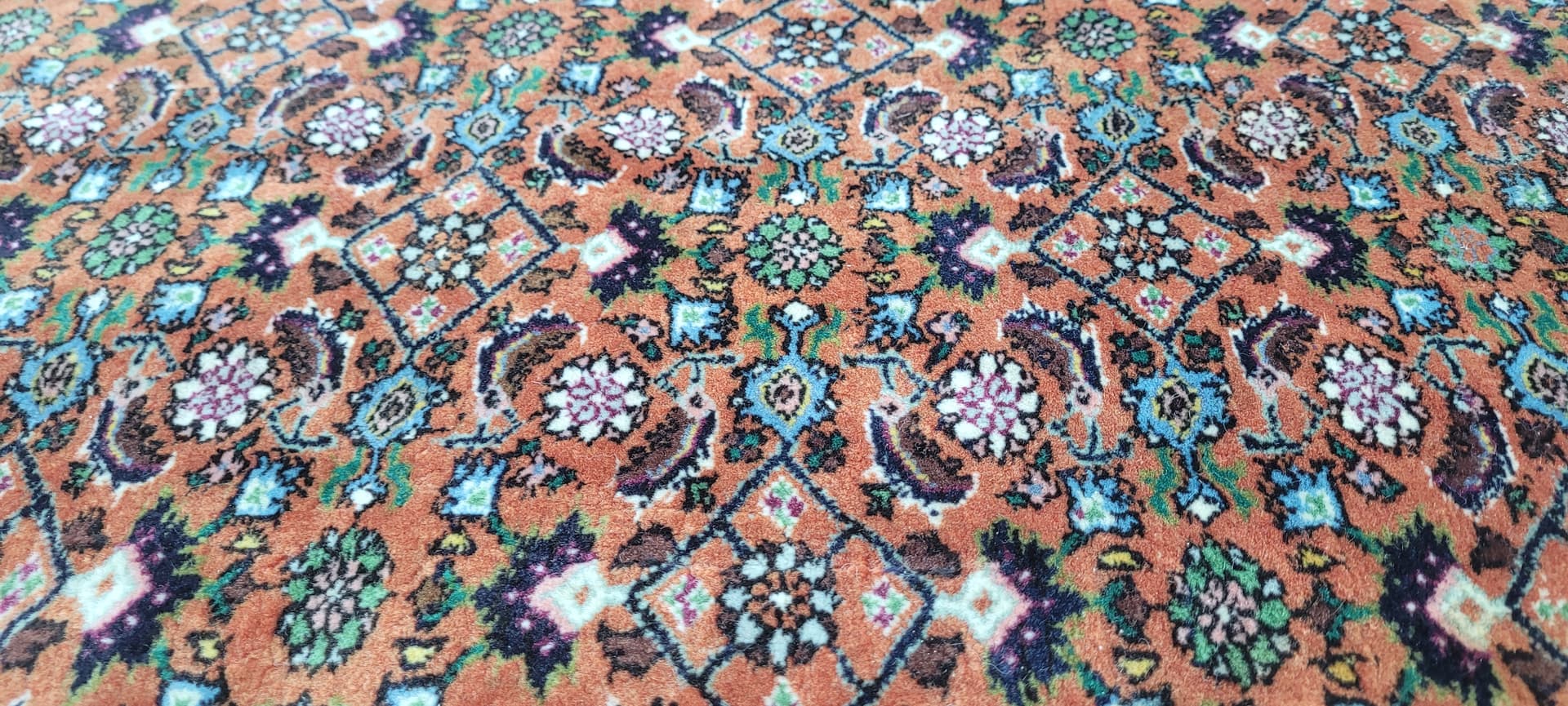 Rug Bidjar Takab 170x113 cm, multicolor wool, Iran, early 20th c. - 182399