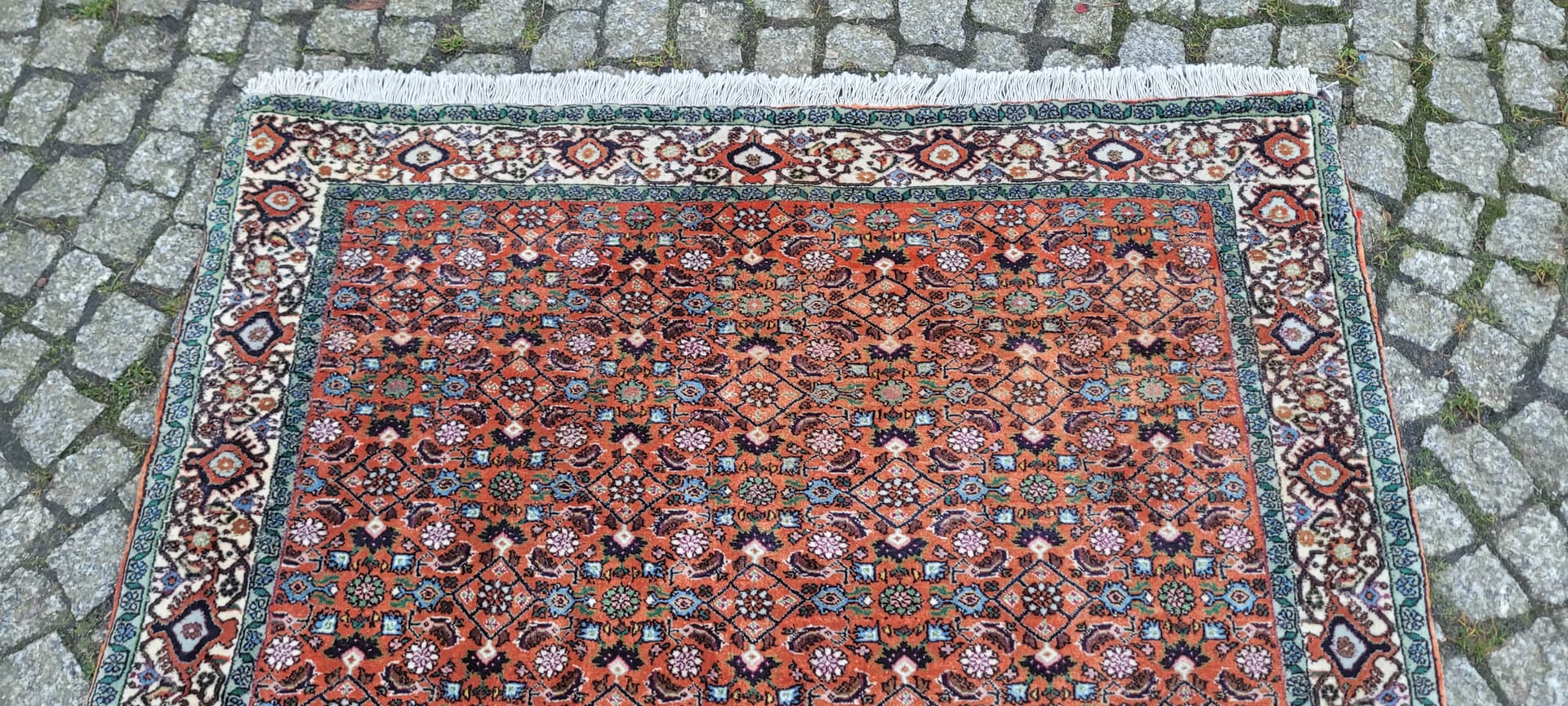 Rug Bidjar Takab 170x113 cm, multicolor wool, Iran, early 20th c. - 182404