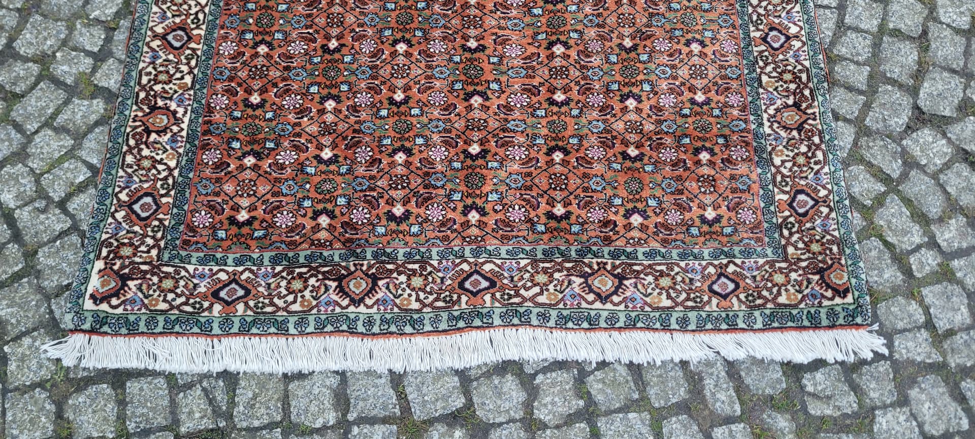 Rug Bidjar Takab 170x113 cm, multicolor wool, Iran, early 20th c. - 182410