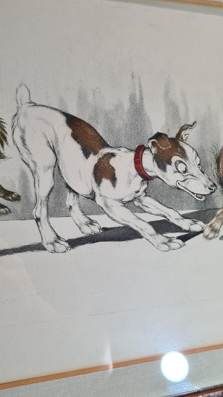 Litografia, multikolor, proj. B. O’Klein, Francja, lata 50. - 182924