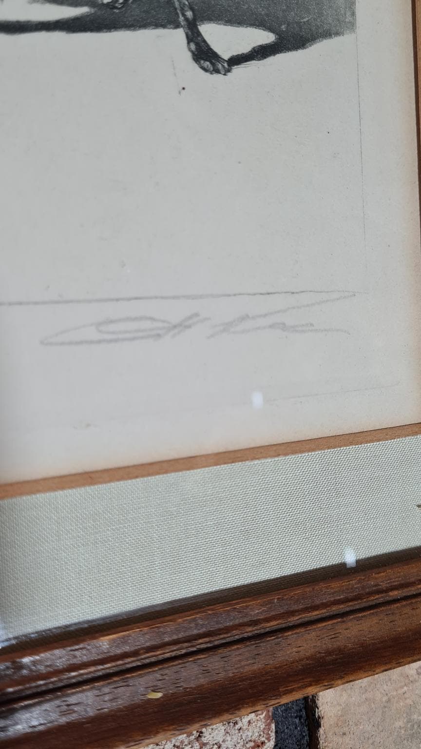 Litografia, multikolor, proj. B. O’Klein, Francja, lata 50. - 182927