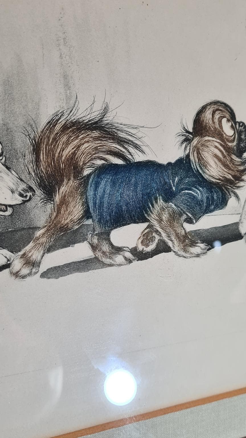 Litografia, multikolor, proj. B. O’Klein, Francja, lata 50. - 182925