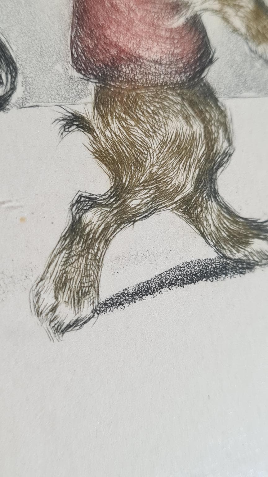 Litografia, multikolor, proj. B. O’Klein, Francja, lata 50. - 182929