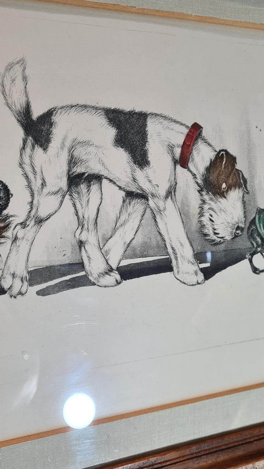 Litografia, multikolor, proj. B. O’Klein, Francja, lata 50. - 182923