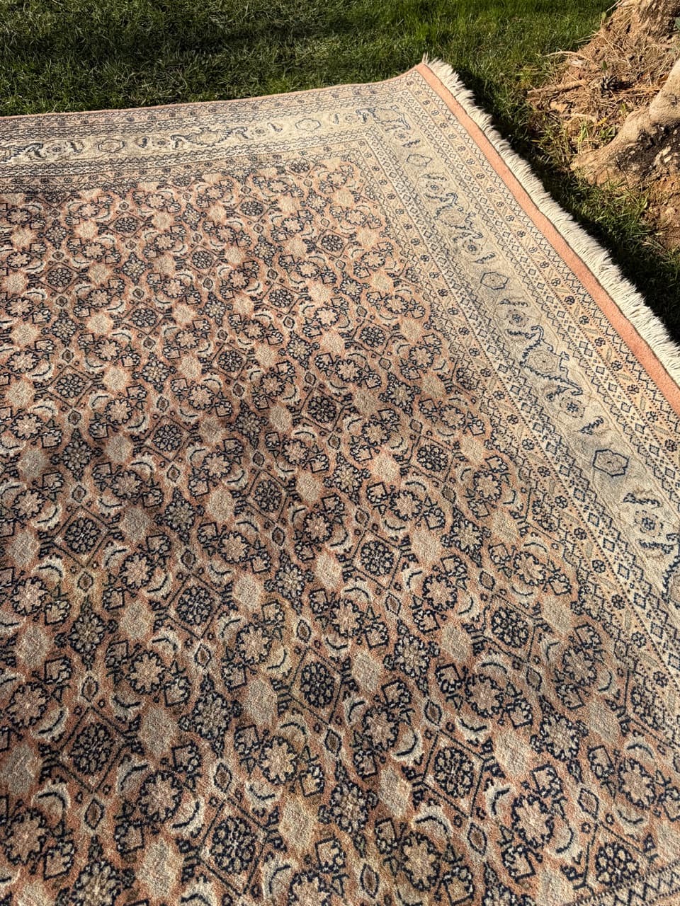 Dywan Indo Bidjar 260x200 cm, multikolor, wełna, Indie - 190867