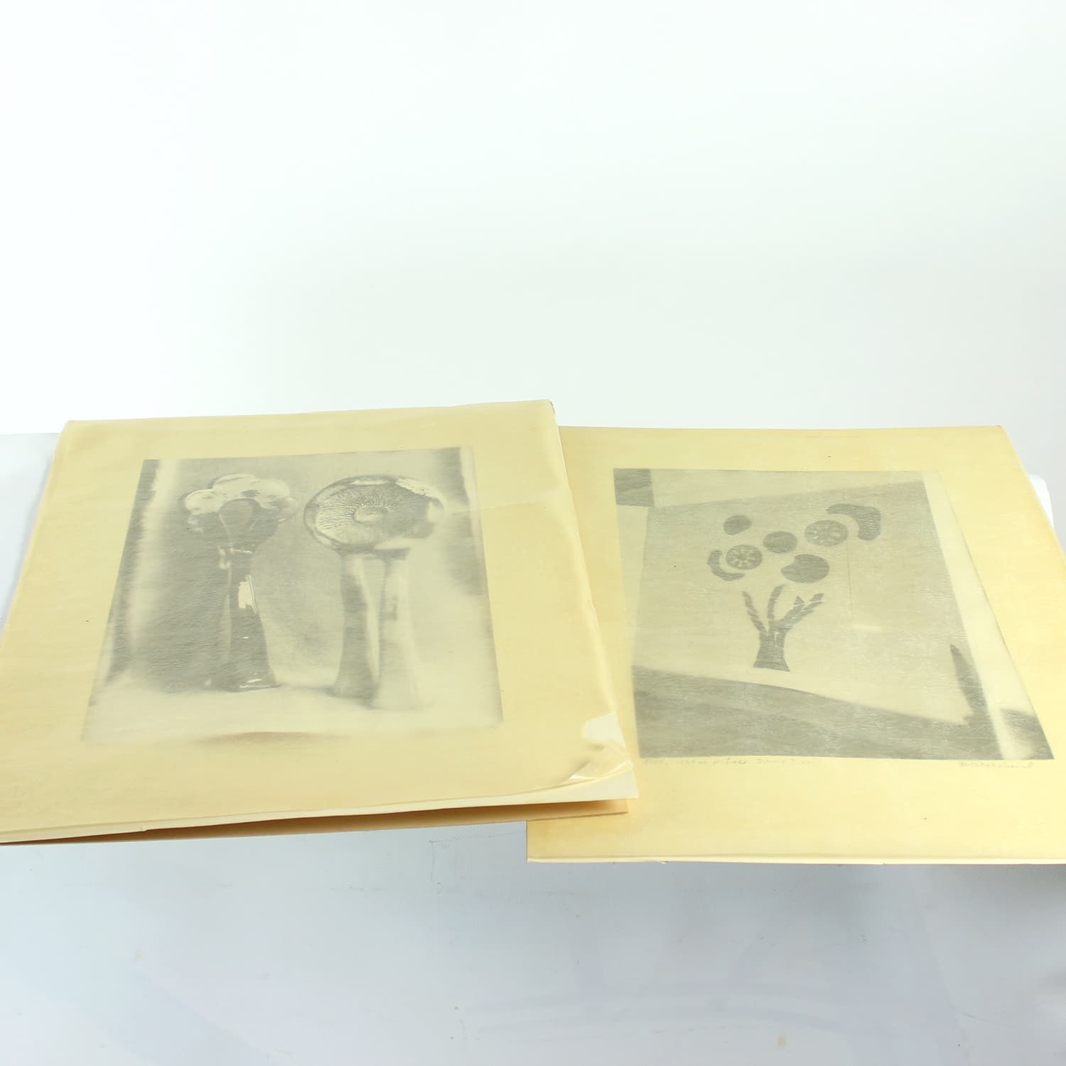 Zestaw dwóch fotografii, Ivory White, D. Abrahámová, Czechosłowacja, lata 80. - 191839