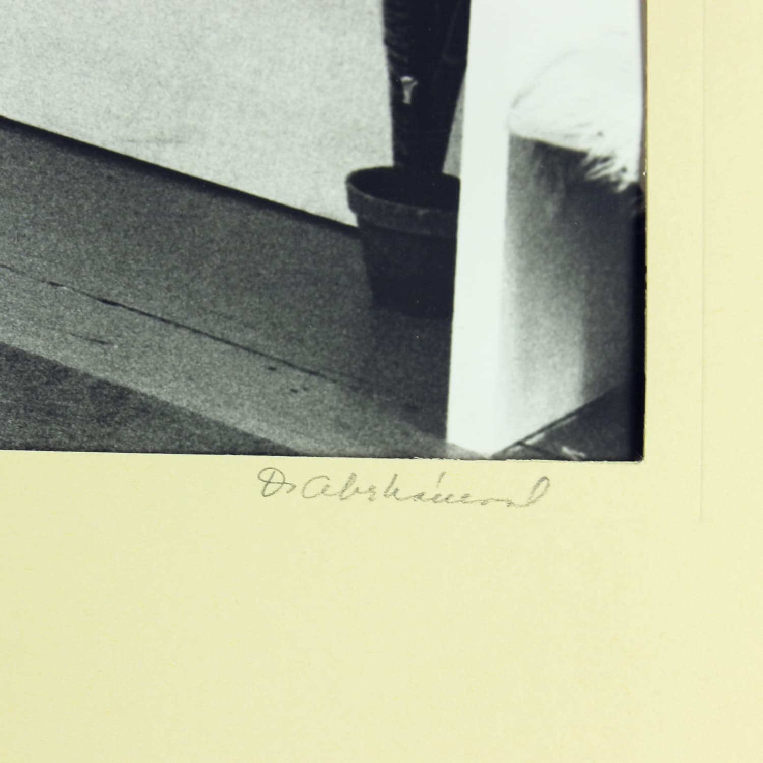 Zestaw dwóch fotografii, Ivory White, D. Abrahámová, Czechosłowacja, lata 80. - 191848