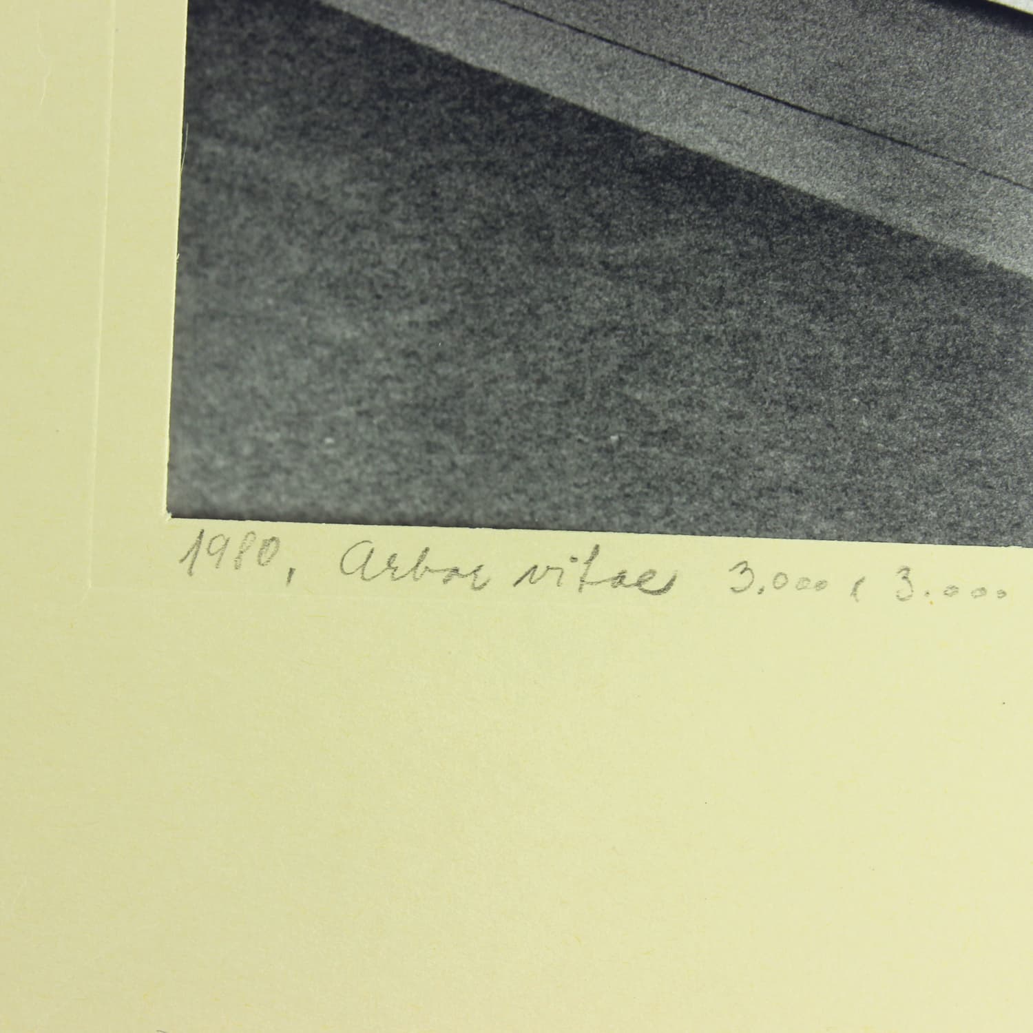 Zestaw dwóch fotografii, Ivory White, D. Abrahámová, Czechosłowacja, lata 80. - 191847