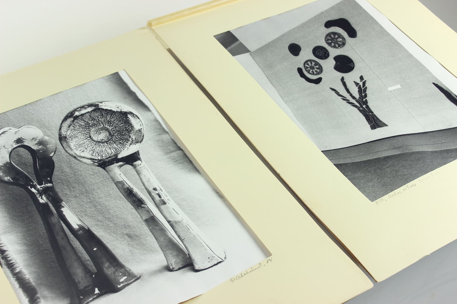 Zestaw dwóch fotografii, Ivory White, D. Abrahámová, Czechosłowacja, lata 80. - 191846