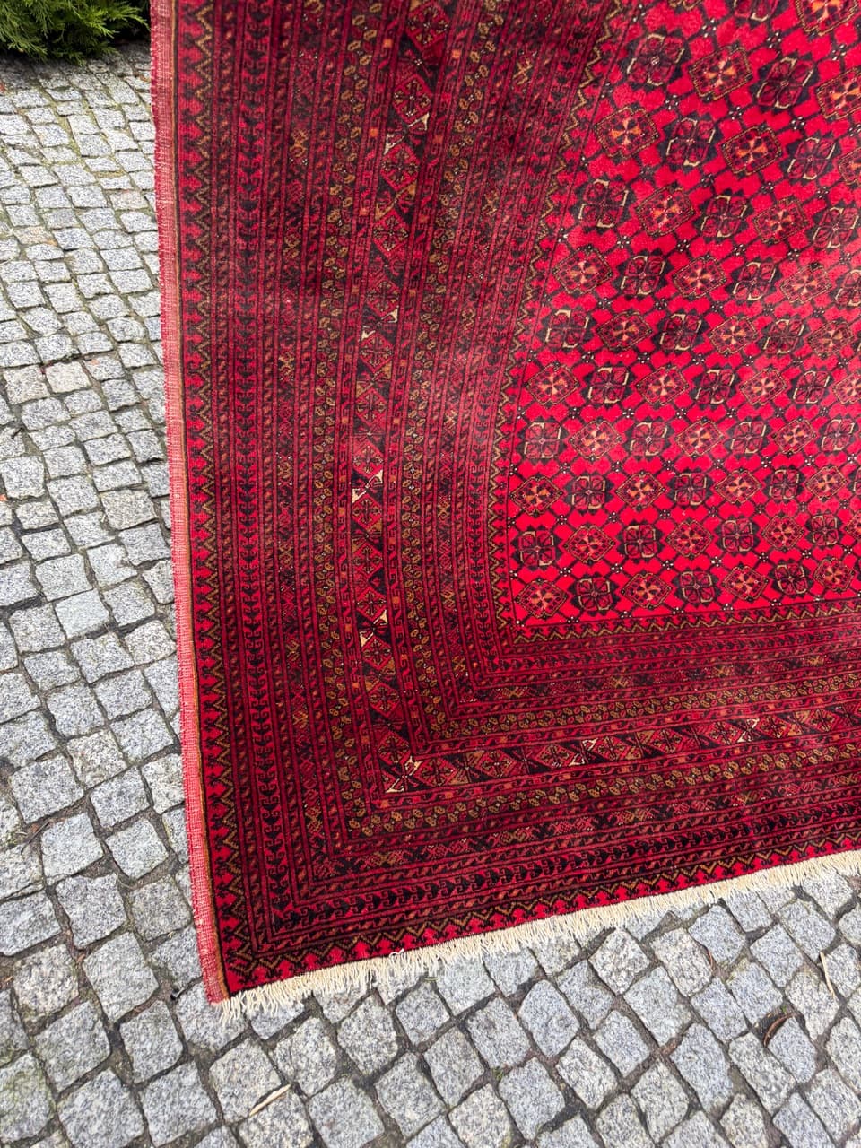 Dywan Bokhara 270x200 cm, czerwony, wełna, Afganistan, lata 70. - 194956