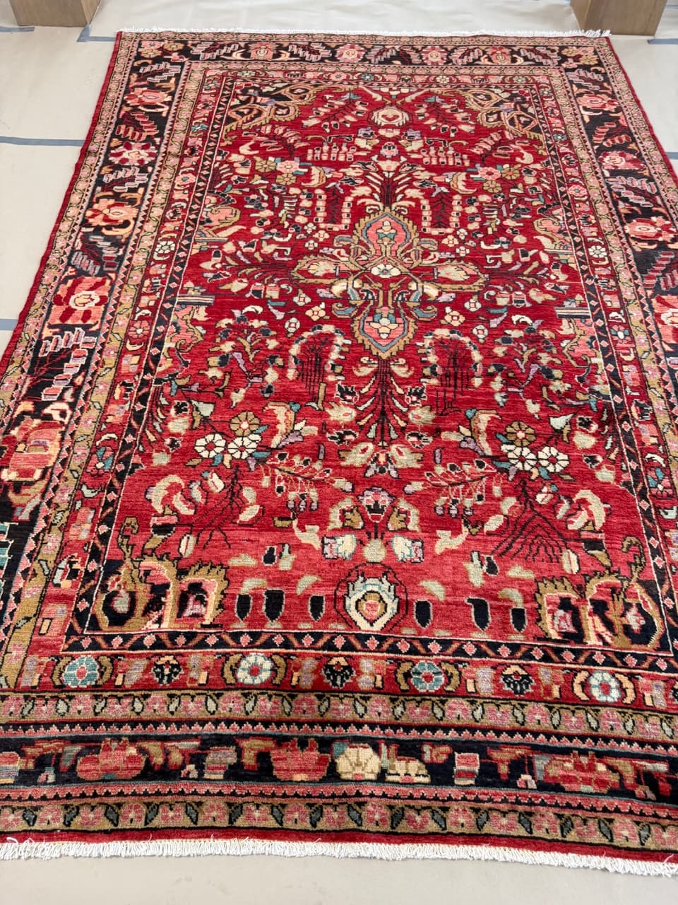 Dywan Lilian 335x225 cm, czerwony, wełna, Iran - 195019