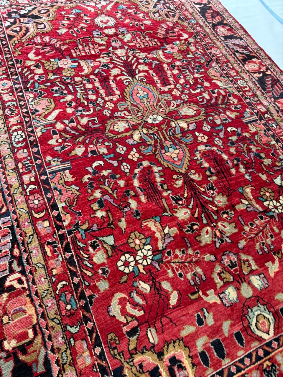 Dywan Lilian 335x225 cm, czerwony, wełna, Iran - 195012