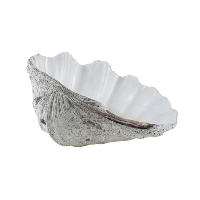 Decorative Tridacna Shell, Grey, Italy, 1980s. - DIMENSION