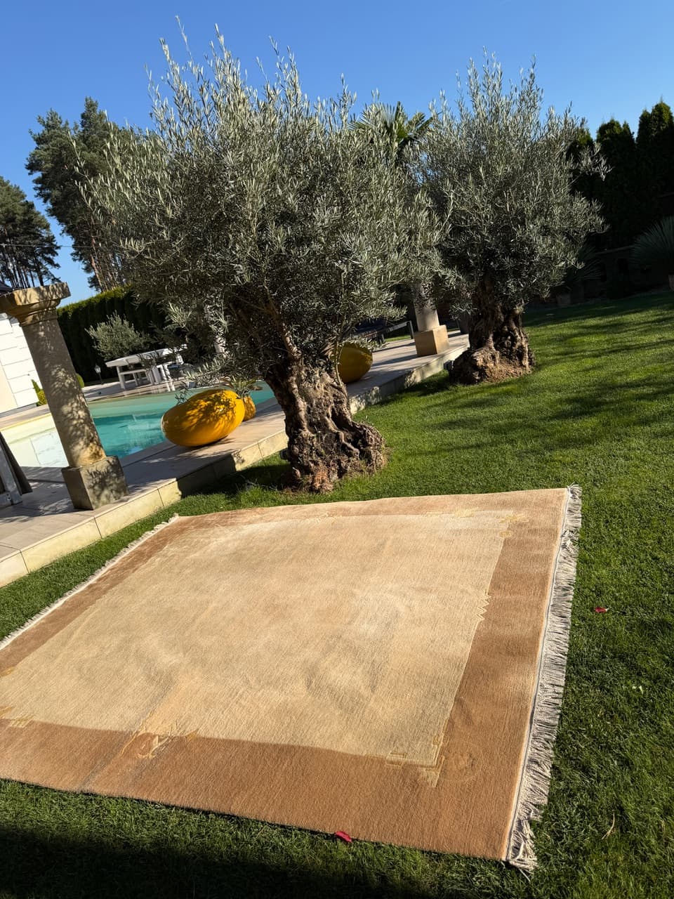 Dywan Art Deco 300x250 cm, beżowy, wełna, Nepal - 195677