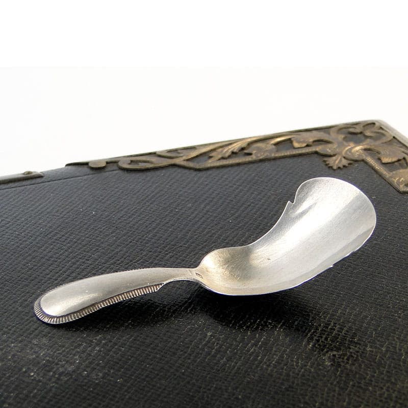 Tea Caddy Spoon, silver, Netherlands, 19th c. - 196666