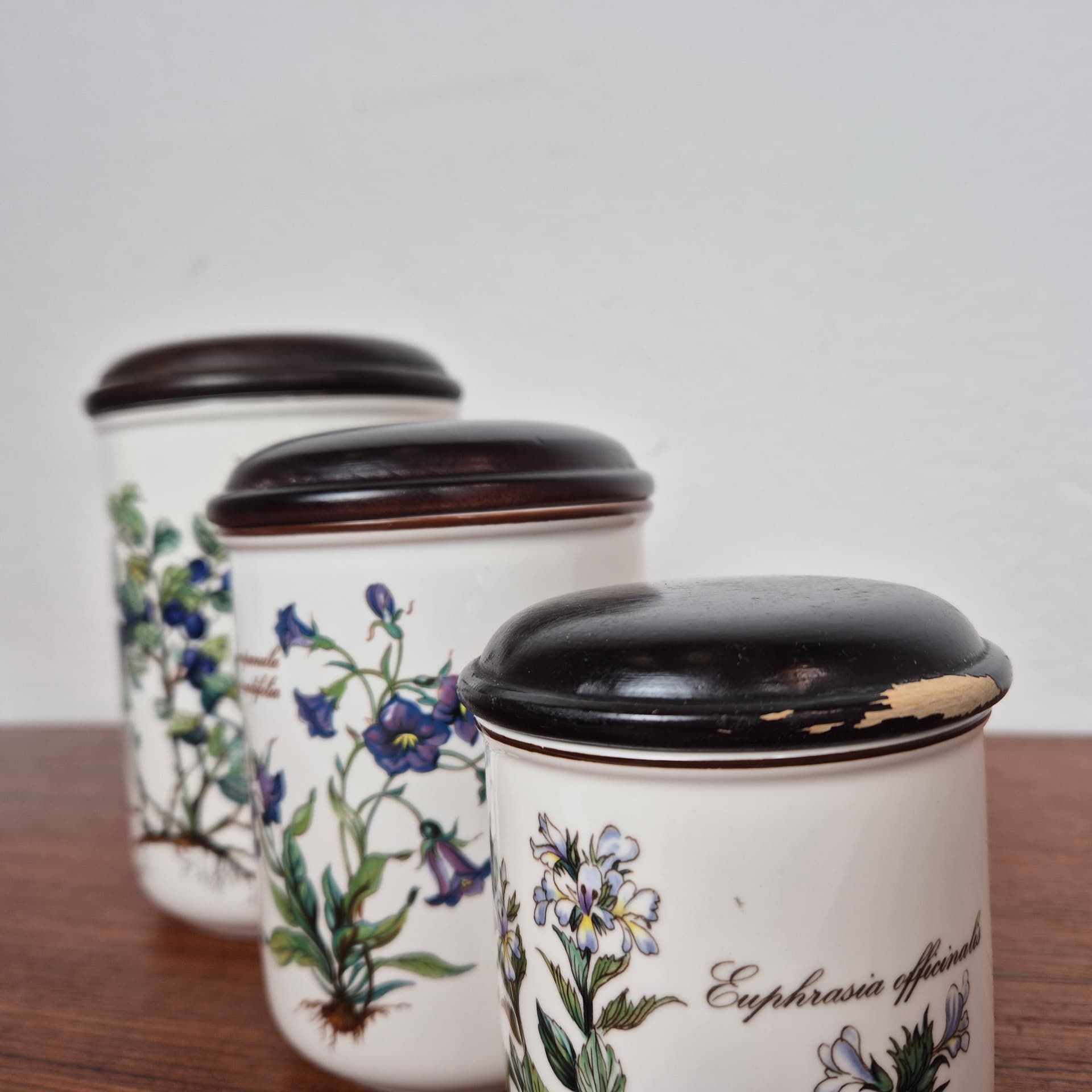 Set of canisters Botanica, ivory white ceramics, Villeroy & Boch, 1960s. - 196932