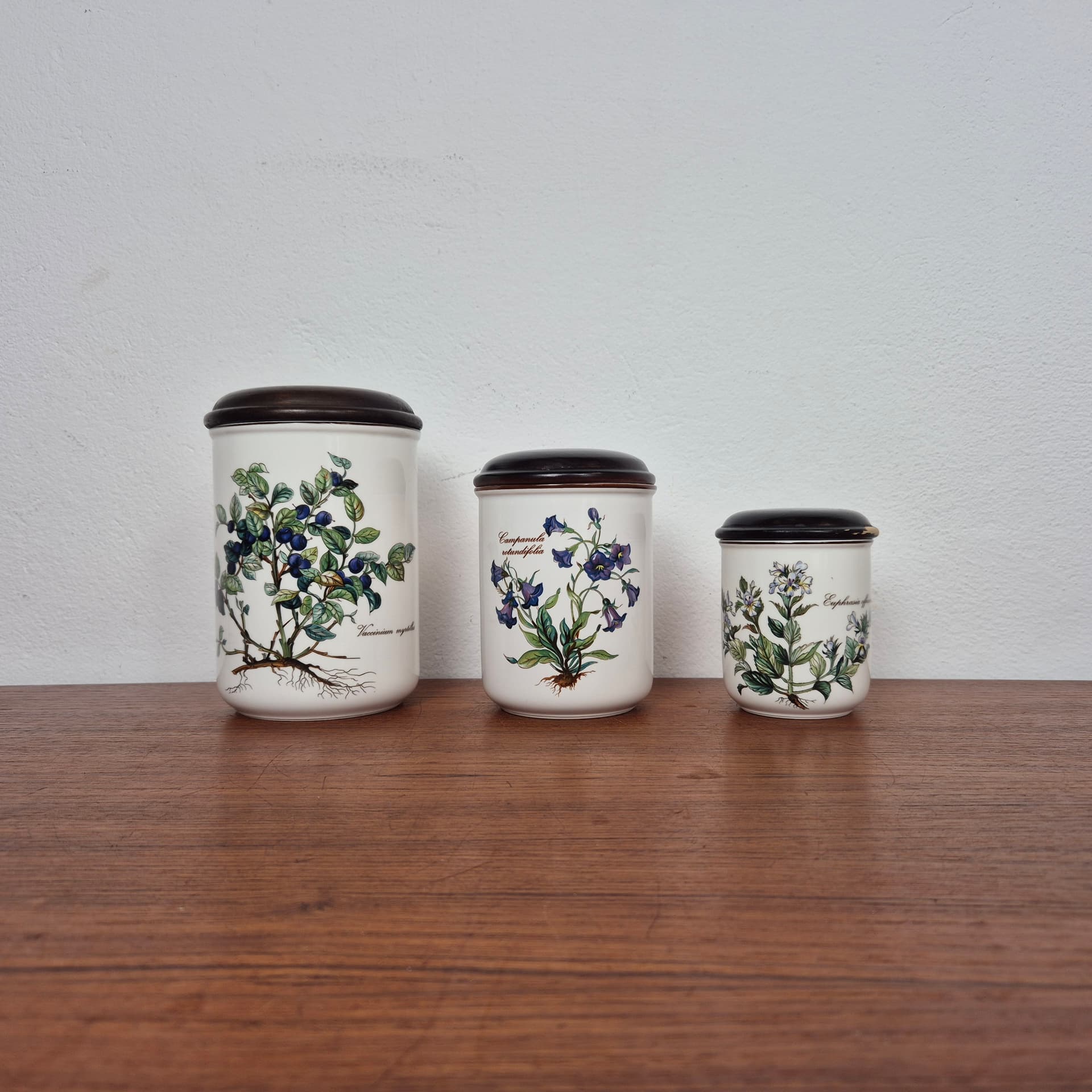 Set of canisters Botanica, ivory white ceramics, Villeroy & Boch, 1960s. - 196933