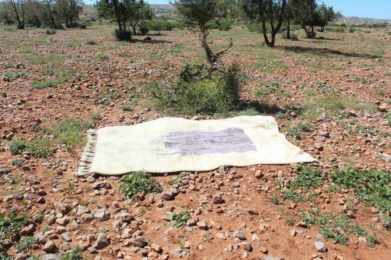 Ręcznie tkany dywan 140x260 cm, wełna, multikolor, Maroko - 205269